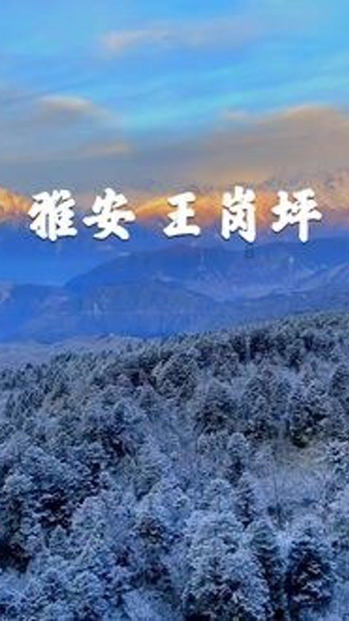 梯瓦制药盘中异动 股价大涨5.03%报12.32美元
