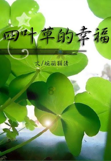 我市持续推进城乡建设与住建领域高质量发展