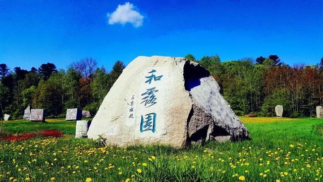 世纪之案