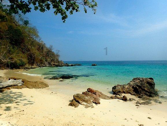 河南文旅再出招：发布春节五大区域活动，郑州主会场在这儿