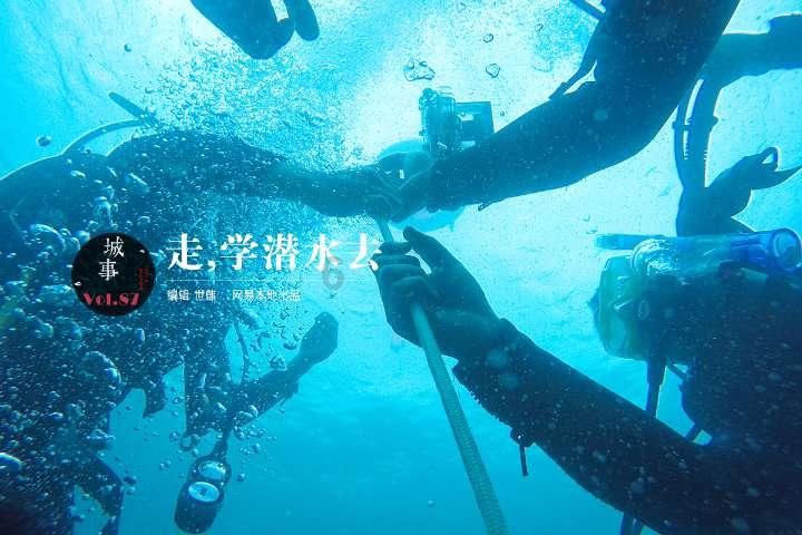 营救小猫头鹰