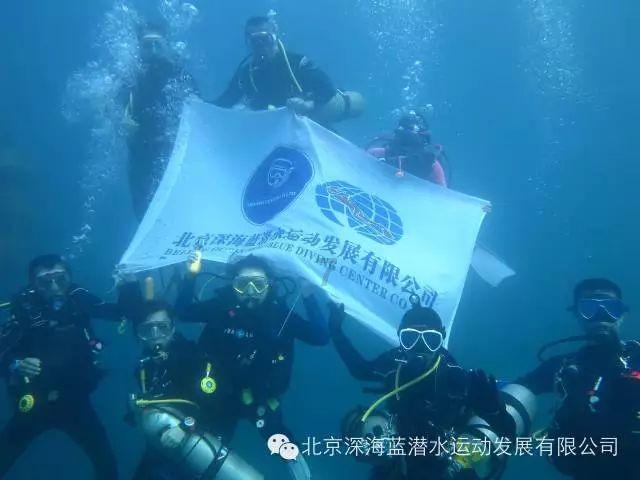 植物大战僵尸2