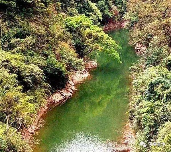 终结者2官方手游