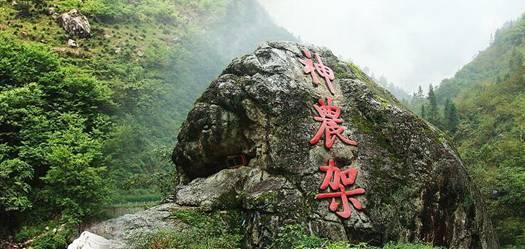 三小只僵尸的游戏时间1